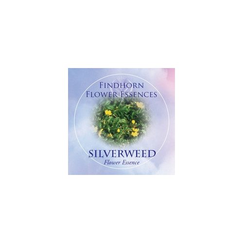 Silverweed Findhorn Flower Essence 15ml.