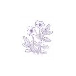 Libapimpó (Potentilla anserina – Silverweed) Findhorn Virágeszencia 15ml. KIFUTÓ TERMÉK!