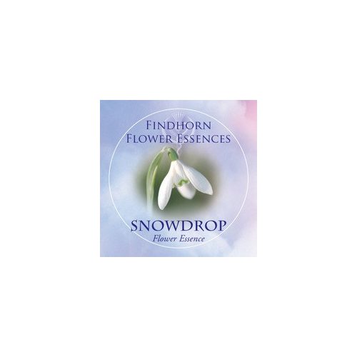 Snowdrop Findhorn Flower Essence 15ml.