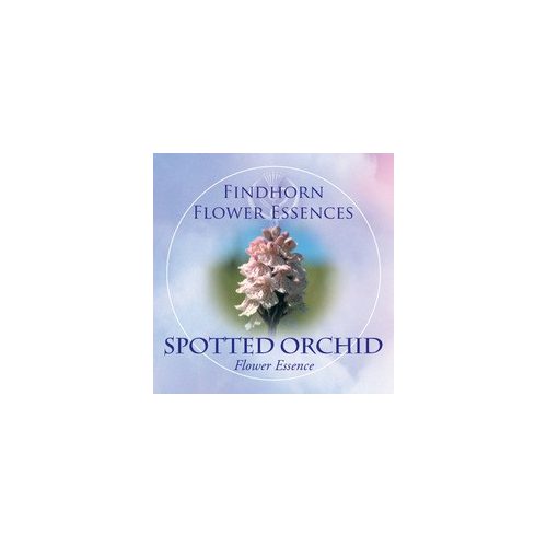 Spotted Orchid Findhorn Flower Essence 15ml.