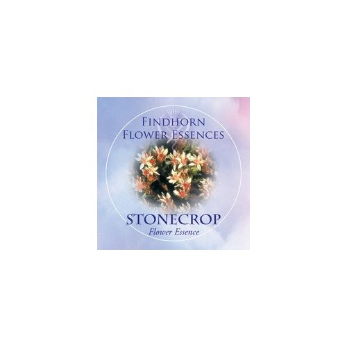 Varjúháj (Sedum anglicum – Stonecrop) Findhorn Virágeszencia 15ml.