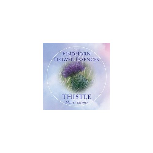 Thistle Findhorn Flower Essence 15ml.