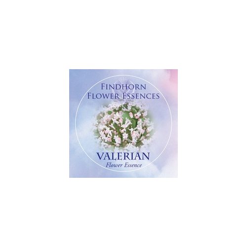 Valerian Findhorn Flower Essence 15ml.