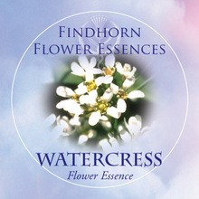 Watercress Findhorn Flower Essence 15ml.