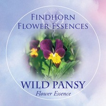 Árvácska (Viola tricolor – Wild Pansy) Findhorn Virágeszencia 15ml.