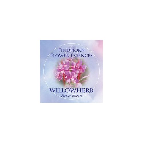Willowherb Findhorn Flower Essence 15ml.