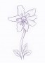 Kiskörtike (Moneses uniflora – Wintergreen) Findhorn Virágeszencia 15ml.