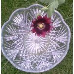 Deep Magenta Opium Poppy Research Series Indigo Essence