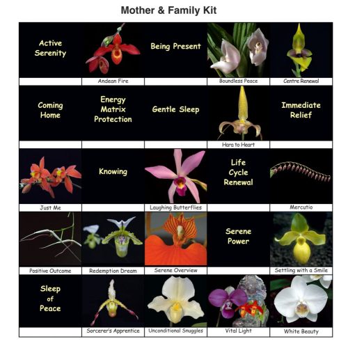 Mother and Family Healing Orchid Mini Kit