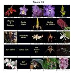 TRAUMA LTOE MINI KIT