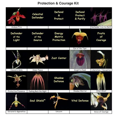 PROTECTION AND COURAGE LTOE MINI KIT