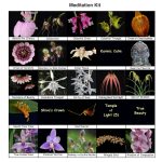 Meditáció LTOE mini-készlet