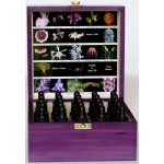 PURPOSE AND ABUNDANCE LTOE MINI KIT