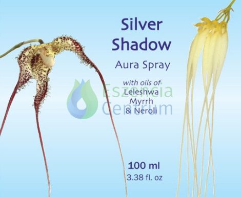 Silver Shadow Aura Spray - Ezüst árnyék