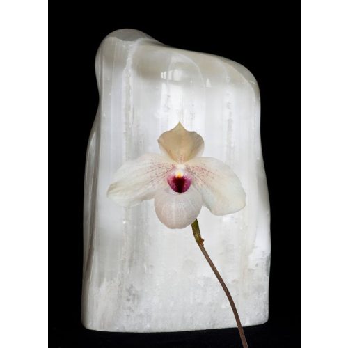 Orchidea Levegő Elem eszencia