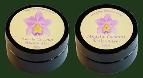 Angelic Coconut Body Butter