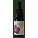 Being in Grace orchidea eszencia