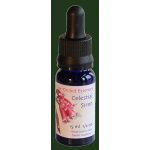 Celestial Siren orchidea eszencia