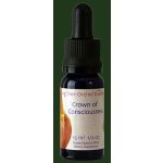 Crown of Consciousness