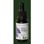 Blue Angel orchidea eszencia