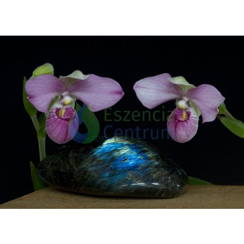 Clarity of Spirit orchidea eszencia