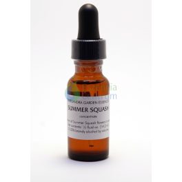 Summer Squash (14,2 cca. 15ml)