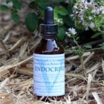 Endokrin rendszer (14,2 cca. 15 ml.)