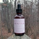 Muscular System (MSBS)