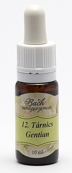 Image of Gentian (12. Tárnics) virágeszencia