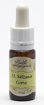 Image of Gorse (13. Sülzanót) virágeszencia