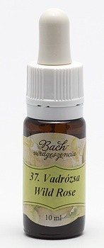 Image of Wild Rose (37. Vadrózsa) virágeszencia