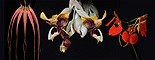Image of Serene Power összetett orchidea eszencia