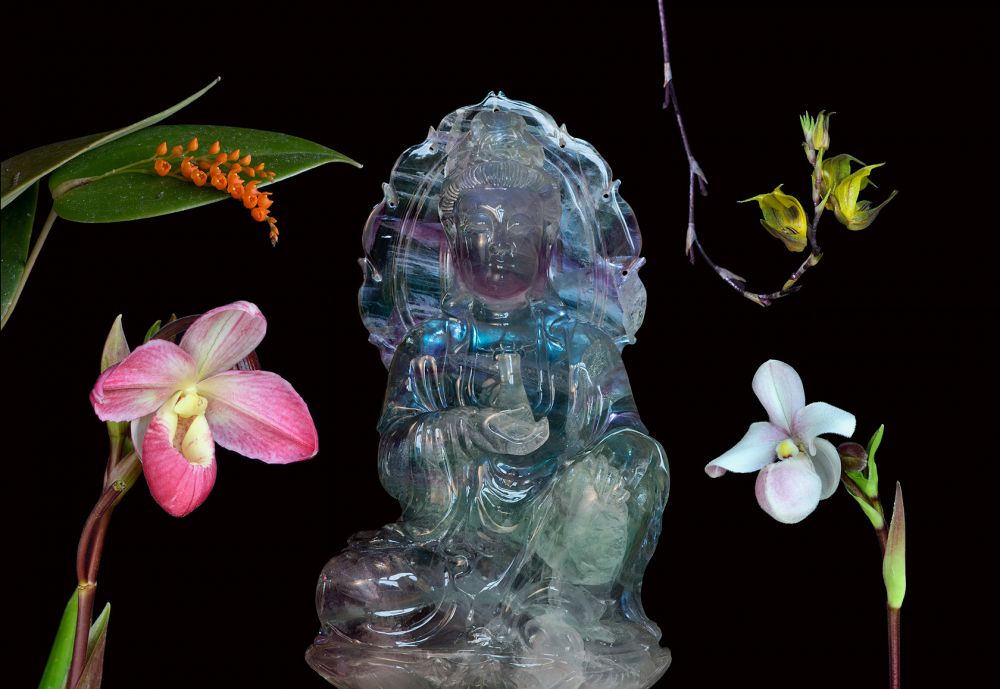 Image of Light of the Soul összetett orchidea eszencia