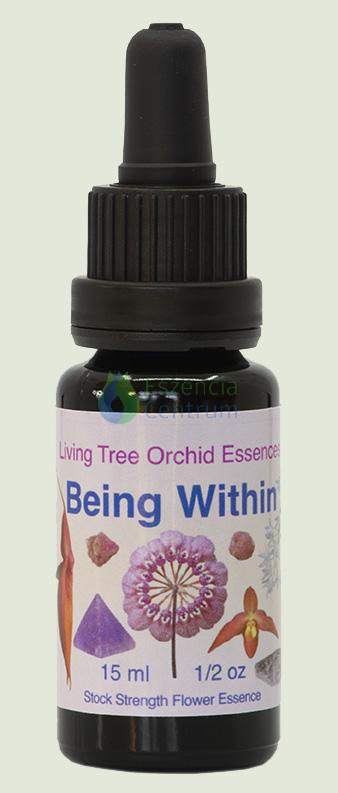 Image of Being Within összetett orchidea eszencia