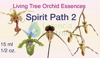 Image of Spirit Path 2 összetett orchidea eszencia