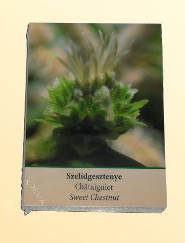 Image of Bach-virágeszenciák kártyasorozat (DEVA)