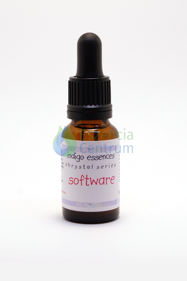 Image of Program * Software