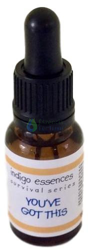 Image of You've Got This! Survival Series Indigo eszencia 15ml