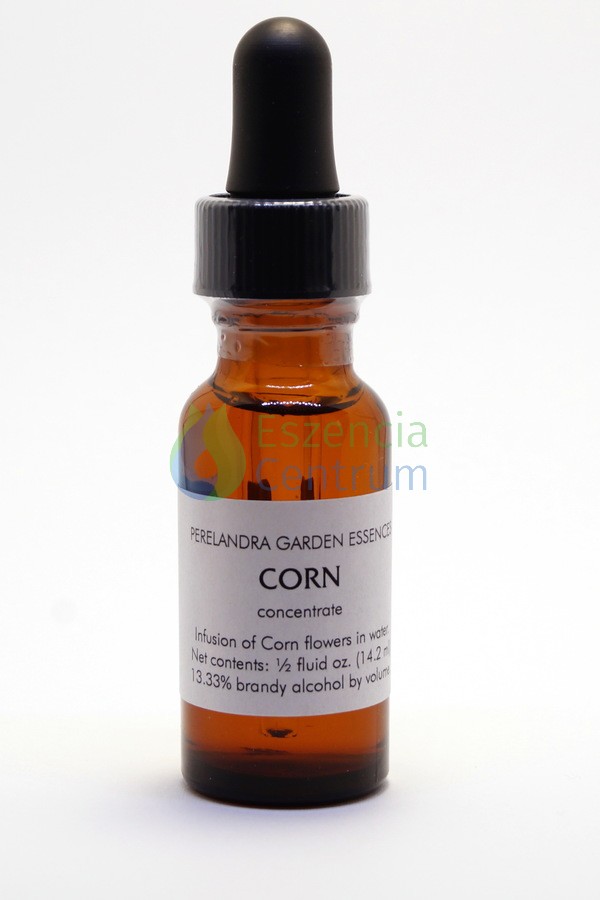 Image of Corn (14,2 cca. 15 ml)