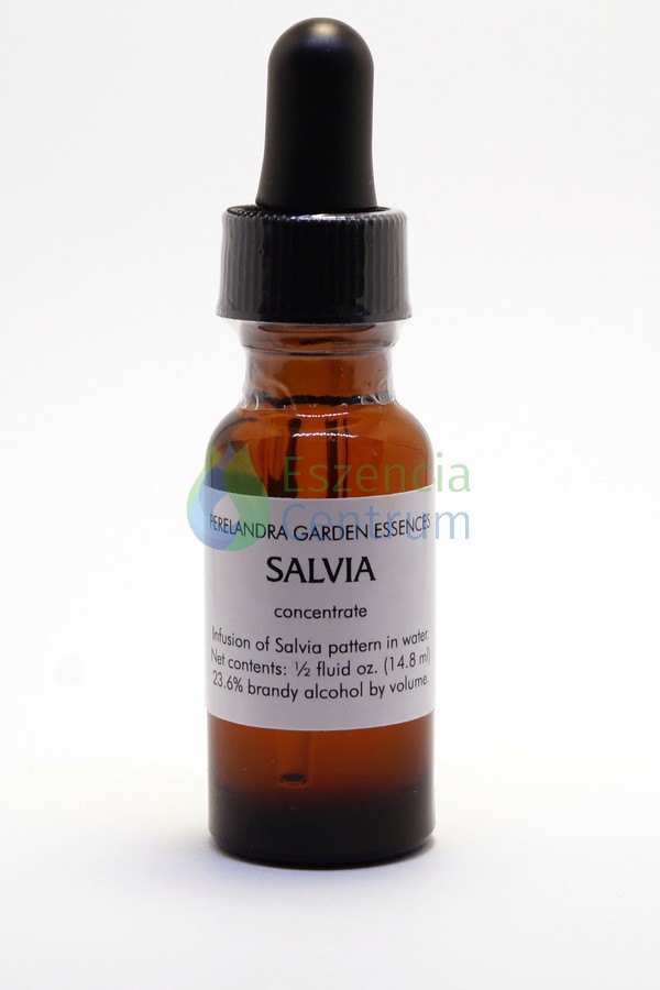 Image of Salvia (14,2 cca. 15ml)