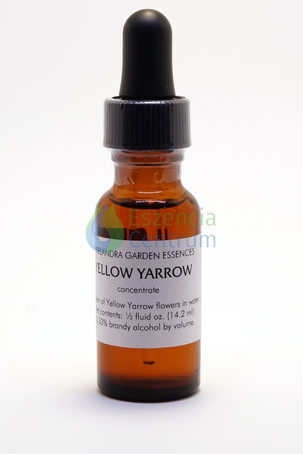 Image of Yellow Yarrow (14,2 cca. 15ml)
