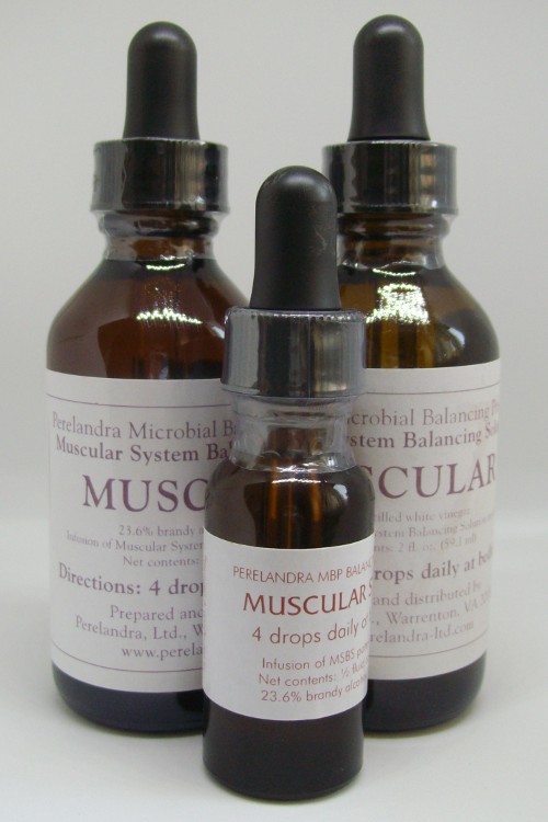 Image of Izomrendszer (14,2 cca. 15 ml.)