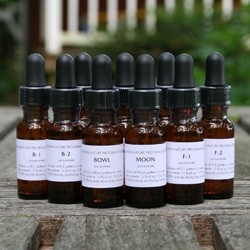 Image of B-2 (14,2 cca. 15ml)